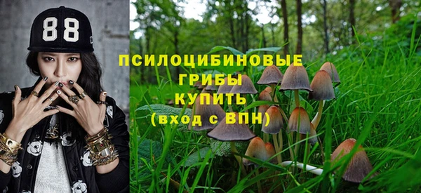 МДПВ Армянск