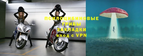 экстази Арсеньев