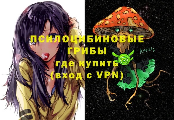 экстази Арсеньев