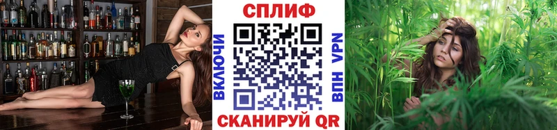 Шишки марихуана ГИДРОПОН Суворов